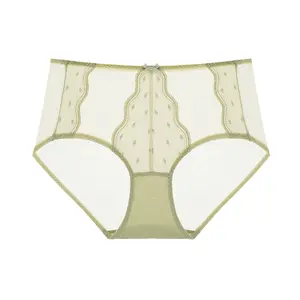 Lacsper Polka Dot Lace High-Waist Full-Coverage Plus Size Briefs