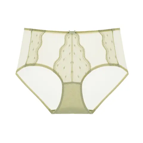 Lacsper Polka Dot Lace High-Waist Full-Coverage Plus Size Briefs