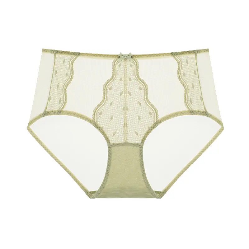 Lacsper Polka Dot Lace High-Waist Full-Coverage Plus Size Briefs