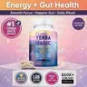 Yerba Magic Capsules – Pure Yerba Mate & 5-in-1 Superblend | Clean Natural Energy | Dietary Supplement | 60 & 120 Capsules Fitness Edible