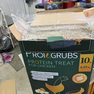 PROILGRUBS 10 LBS Non-GMO Dried Worms for Chickens High Protein Treats 4.55 kg All-Natural Black Soldier Fly Larvae for Higher Egg Productivity & Stronger Egg Shells Enhance Sustainable Organic Snack Nicer Feather   High Protein Black Soldier Fly Larvae