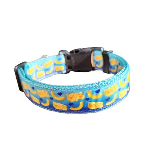 Mac And Cheese Light Blue Nylon Dog Collar MD, LG, XL, Leash, Martingale