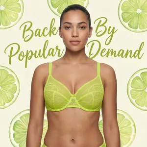 HSIA Enchante Full Coverage Floral Lace Unlined Plus Size Comfort Non-padded  Underwire Bra