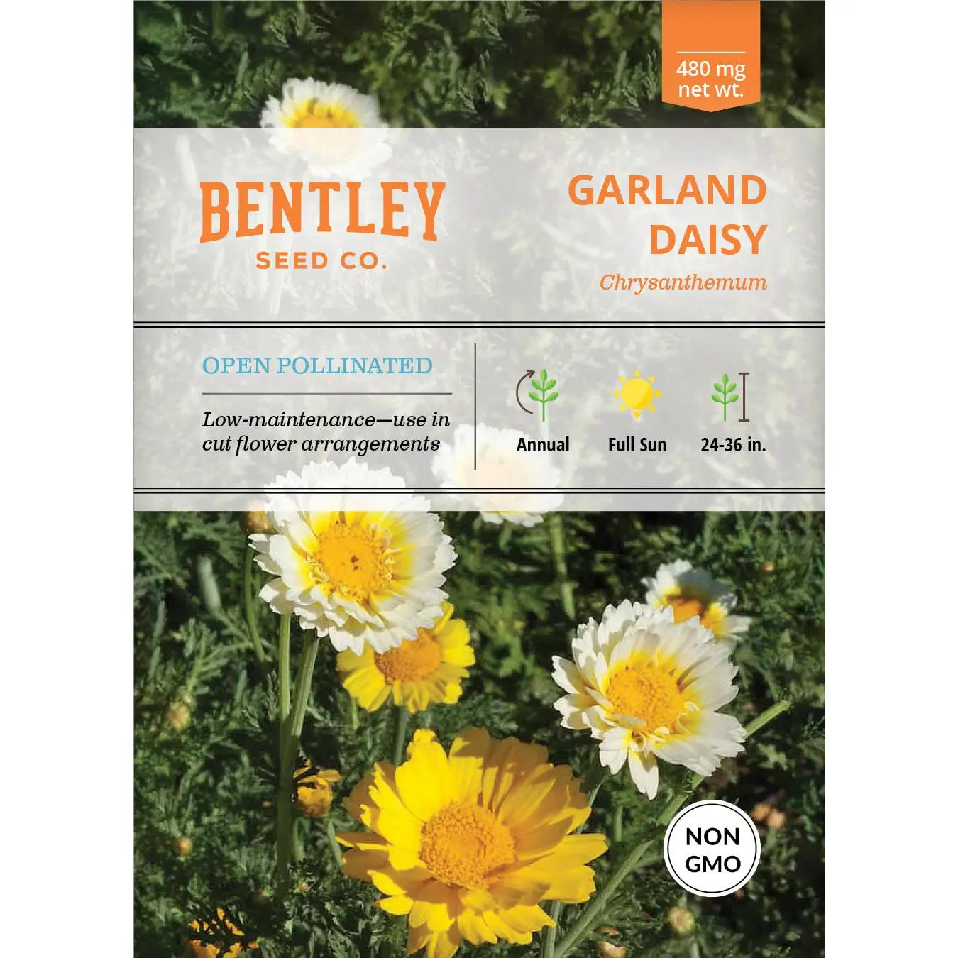 Grow-At-Home Flower Seed Packets - Daisy Garland, Chrysanthemum Annual Seeds for Beds, Deer Resistant with Edible Foliage, Ideal for Cut Flowers, Flower Arrangements