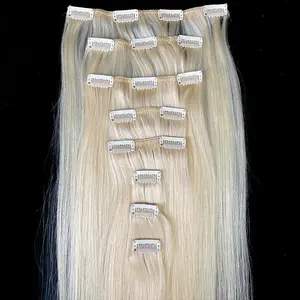 8A Straight Clip-In Human Hair Extension Color 613