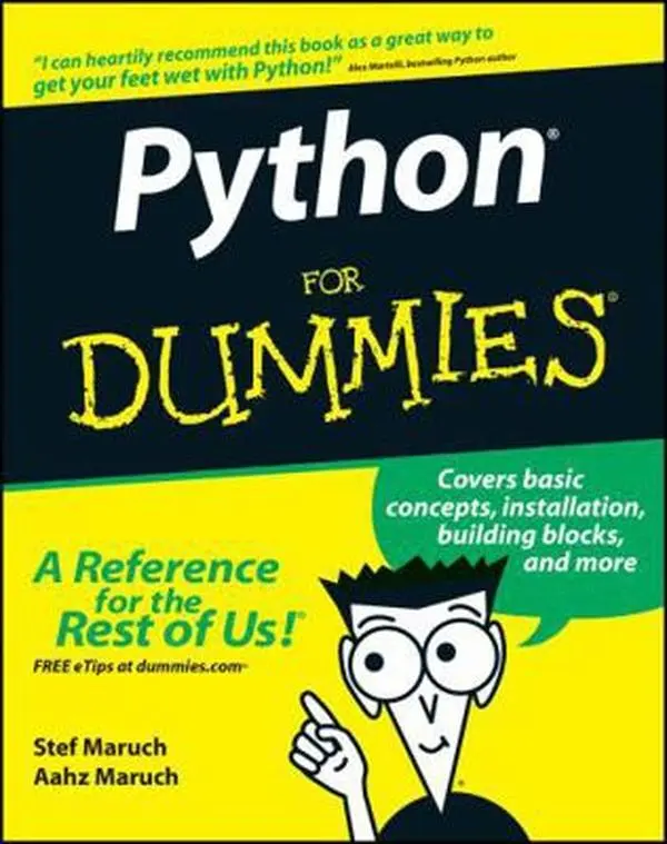 USED Book - Python for Dummies by Maruch, Stef (Paperback) - english