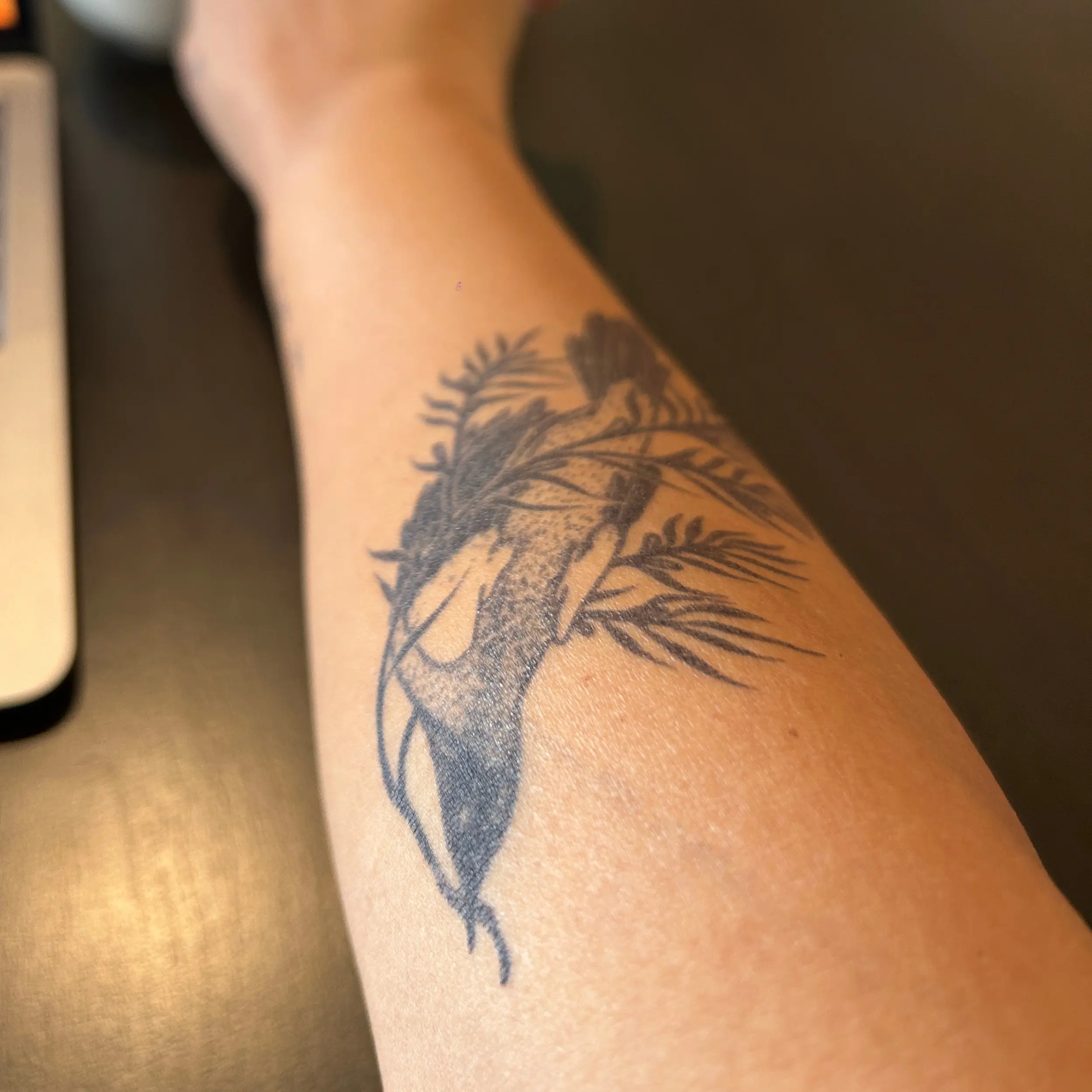Peace Bird Tattoo | 2 Week Semi Permanent Temporary Tattoo | Plant Based Vegan Tattoo | Spiritual Tattoo | Large Bird Tattoo | Freedom Tattoo | Symbolic Tattoo
