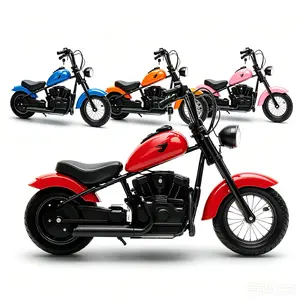 Garvee 24V 250W Kids' Electric Dirt Bike - 2-Speed Adventure Ride-On Motorcycle for 8-12 Teens, Up to 14 MPH, 60 Min Playtime, LED Headlights, Leather Seat, Rear Brake, Plastic Body, Cells-Powered