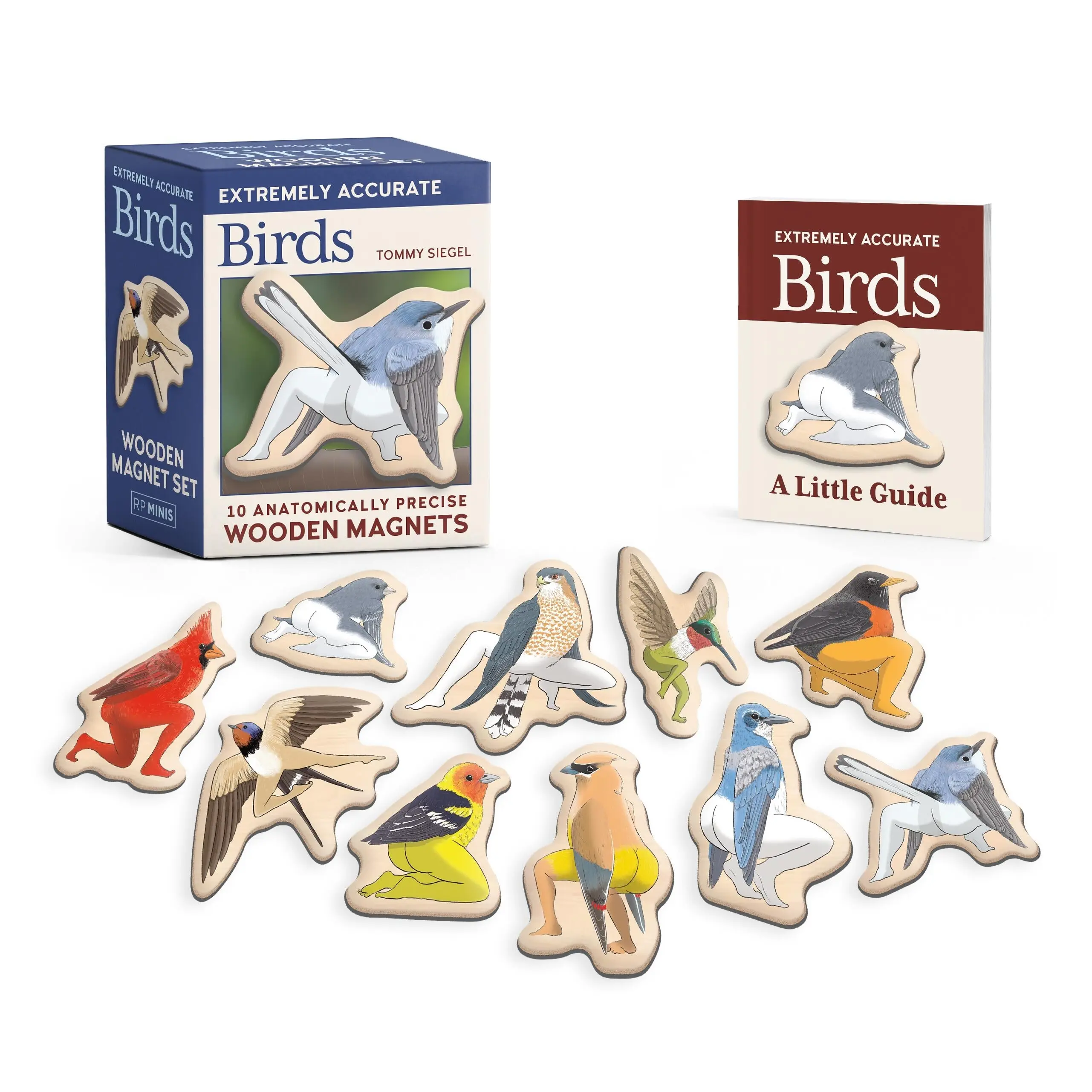 Extremely Accurate Birds Wooden Magnet Set by RP Minis [Novelty Gift]