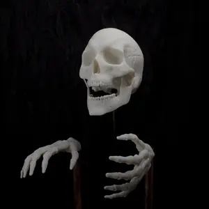 Wall Mounted Skull and Skeleton Hands