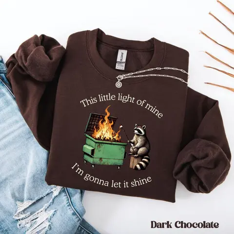 Funny Parody Sweatshirt: Dumpster Fire Raccoon Sweater, Mental Health Tee, This Little Light of Mine Shirt, Trendy Tee