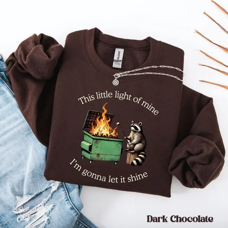 Funny Parody Sweatshirt: Dumpster Fire Raccoon Sweater, Mental Health Tee, This Little Light of Mine Shirt, Trendy Tee