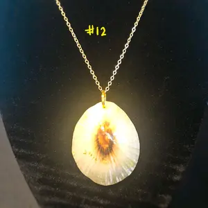 Opihi Shell Necklace - Hawaiian Shell Jewelry