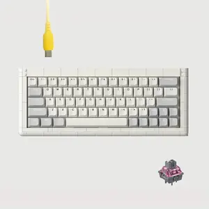 KBDcraft Adam 60% Keyboard with a Lego-Compatible Case, PBT Keycaps, Gasket Mount, Hot-swappable, Wired, Linear Switch, RGB, QMK, Vial for Win/Mac, White