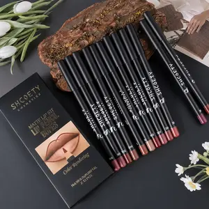 12pcs Easy Coloring Lip Liner Pencil Set, 12pcs/box Matte Lip Liners, Long-Lasting Matte Lipliner for All Occasions Smooth Application