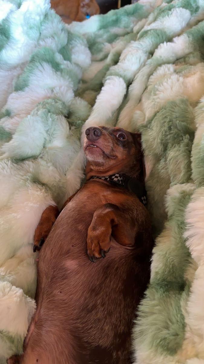 Item: Light Green, King 108" x 90"