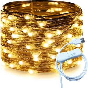 Silver Wire 33 Ft 100 LED USB Fairy String Lights with On/Off Switch (Warm White)