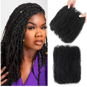 Afro Kinkys Bulk Human Hair 2 Bundles 100g 4C Afro Kinky-Curly Human Hair Bulk for Mini Twist Dreadlock Extensions Locs Repair Soft Kinky Human Braiding Hair 18 Inch Natural Black