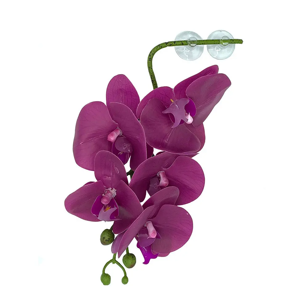 Orchid Reptile Decor - Purple - Realistic Artificial Hanging Orchid for Reptile Enclosures