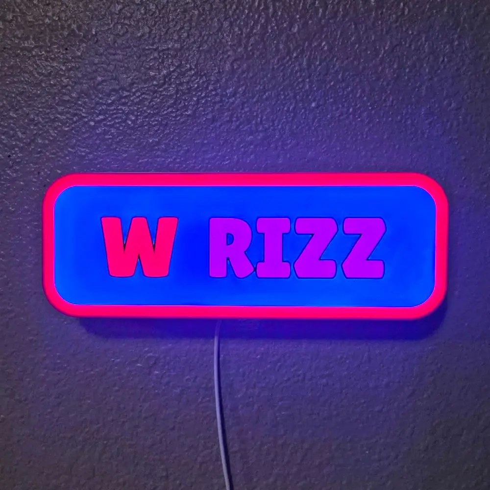 W Rizz Modern Colorful Indoor Customizable 5V LED Plaque Sign, Teen Dorm Room Decor with On/Off Button, Dimmer, Interchangeable Face Plate for Message & Color Changes, Dimmable