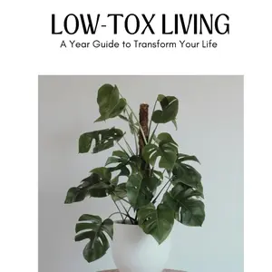 Low-Tox Living Book: A Year Guide To Transform Your Life