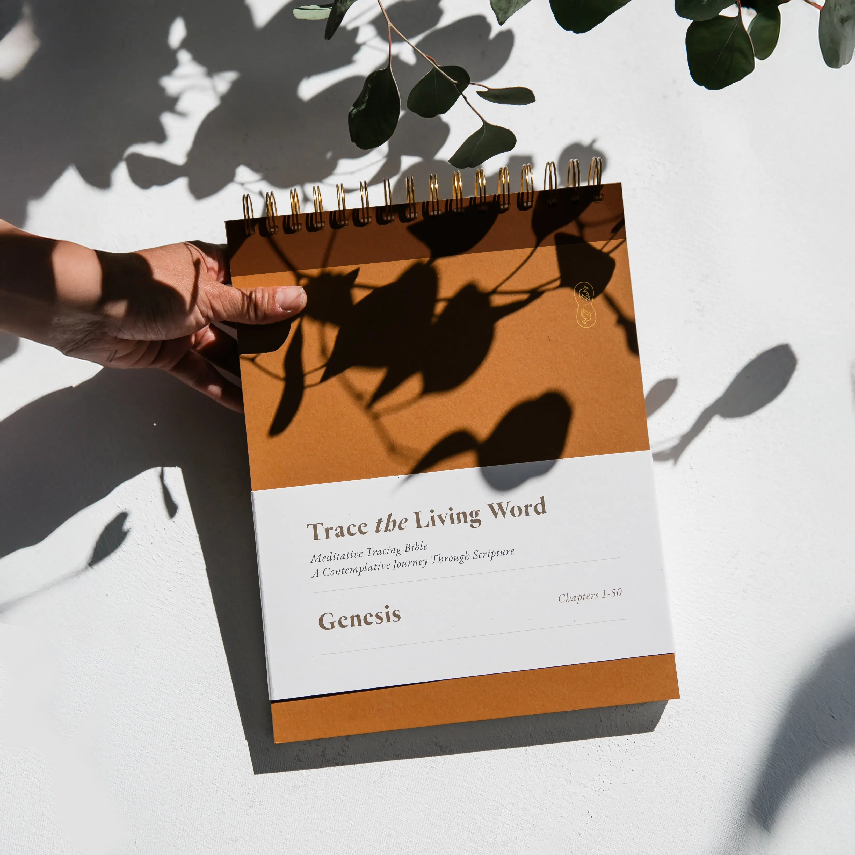 Genesis | Tracing Bible | The Classic