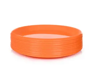 Mintra Home - Large Plastic Plates 8.5in 12 Pack