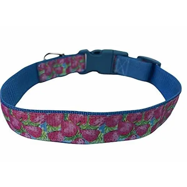 Strawberry Dog Collar with Grosgrain Ribbon Adjustable Puppy Collar Preppy Style for Dog Lovers One Inch Wide Durable Nylon Webbing