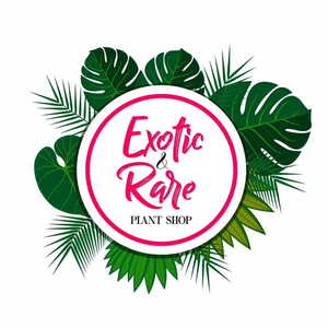 Exotic & Rare PlantShop