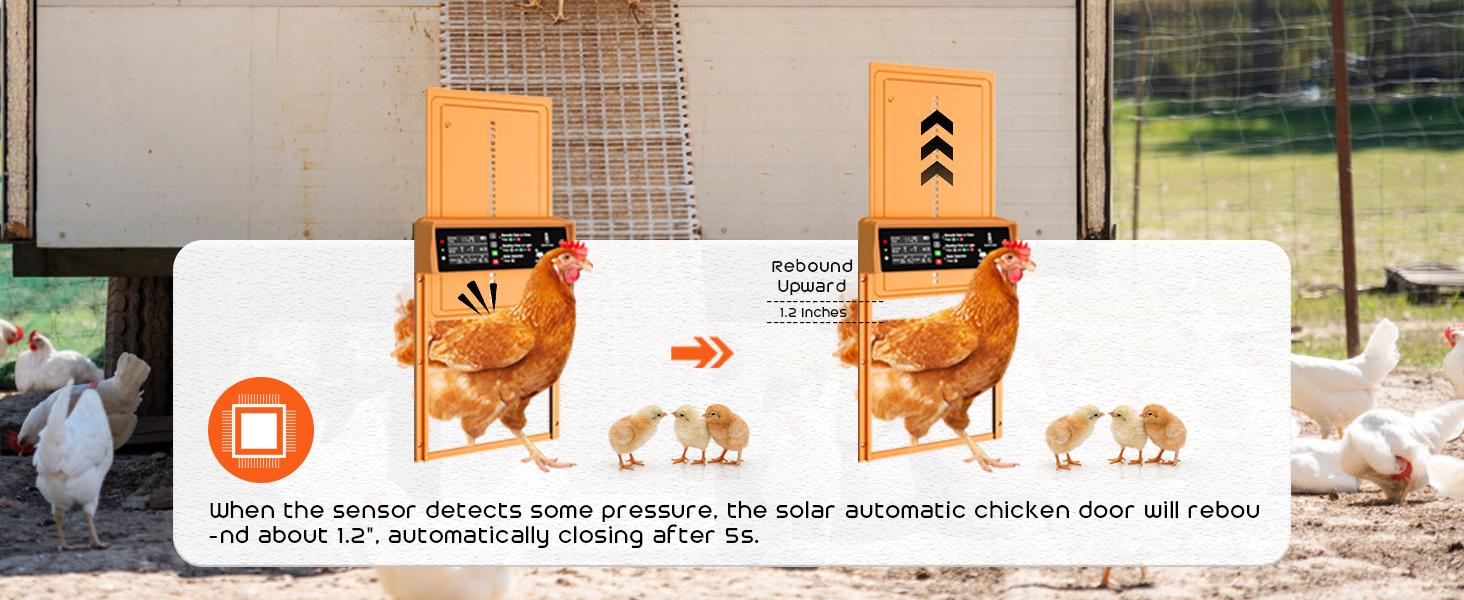 Solar Automatic Chicken Coop Door with Timer & Light Sensor – Auto Open & Close Chicken Door, Anti-Pinch Safety, Durable Aluminum Poultry Door, 7W Solar Panel & USB Charging Backup Easy Install manual setting enclosure reliable conductivity