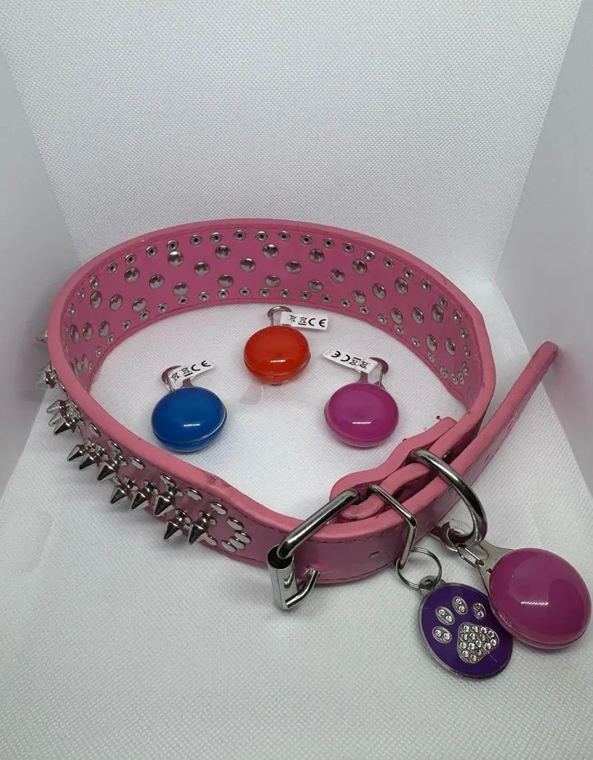 LED Safety Collar Light Charm