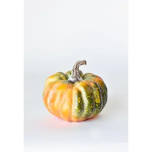 5" x 5.5" Faux Green/Orange Pumpkin