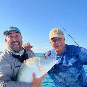 Vara 8' ( la Matadora) Vara 8' ( la Matadora)