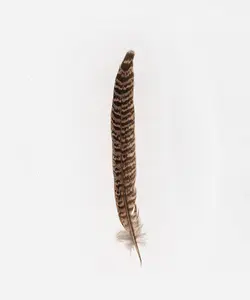 Female Ringneck Hat Feather - Stylish Design for Women, Lightweight and Comfortable Fit
