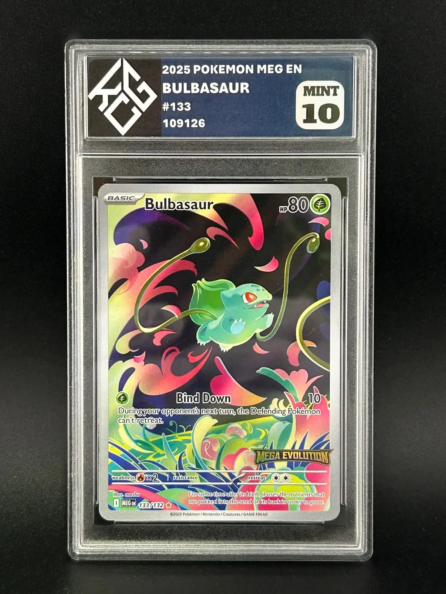 King Card Grading Pokmon Mystery Slabs - TikTok Shop King Card Grading Pokmon Mystery Slabs - TikTok Shop