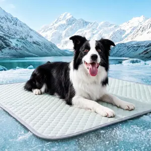 PatiencET Large No-Gel Dog Cooling Pad, 32x44 in Cool-Touch Ice-Dot Texture Washable Summer Pad for Dog Crate, Car, Light Green