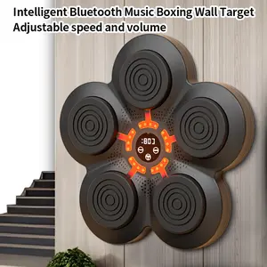 Smart Bluetooth Music Boxing Machine Home Boxing Workout for Kids & Adults Wall Mounted Boxing Target