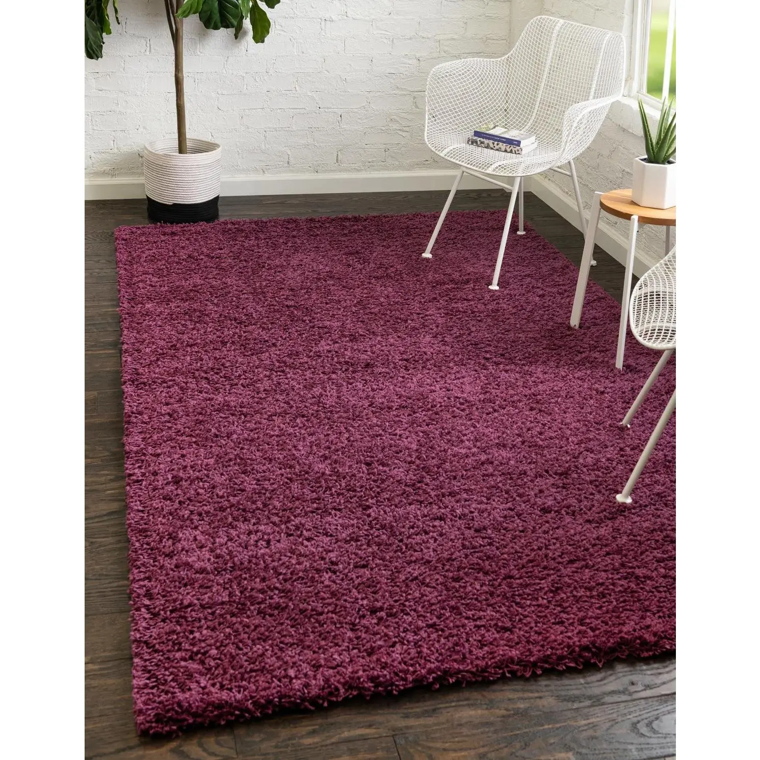 Eggplant Purple 5' 3  x  8'