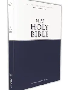 Economy Bible-NIV: Accurate. Readable. Clear
