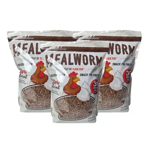 Flock Fest 30 oz. Bag of Mealworms (3Pk.)