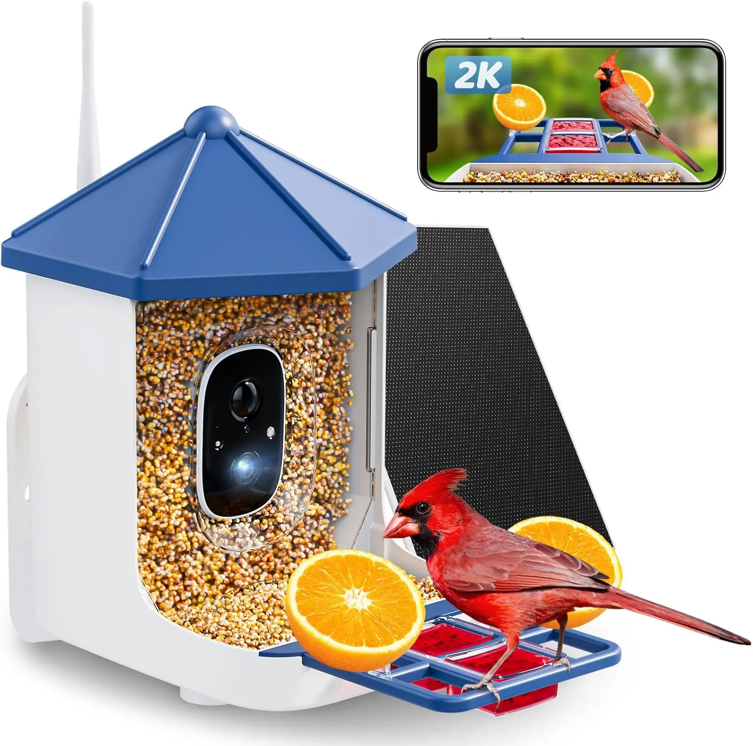 Smart Bird Feeder Camera 2K HD Night View AI Bird Species Identification Auto Capture Motion Detection Alerts Solar Powered IP65 Waterproof 360 Degree Perch for Bird Watchers