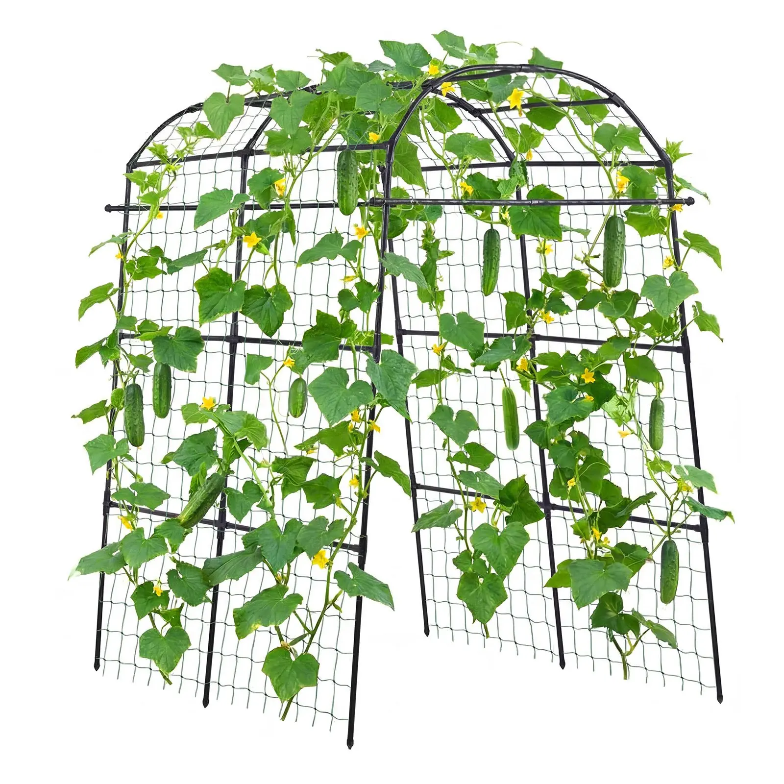 VEVOR Cucumber Trellis, U-Shape Metal Garden Trellises for Raised Beds, Garden Supplies Plant Support for Outdoor Vine Climbing Plants (70.87x44.09x82.99in) – Ideal for Peas, Beans, Zucchini, Tomato, Squash, Flower