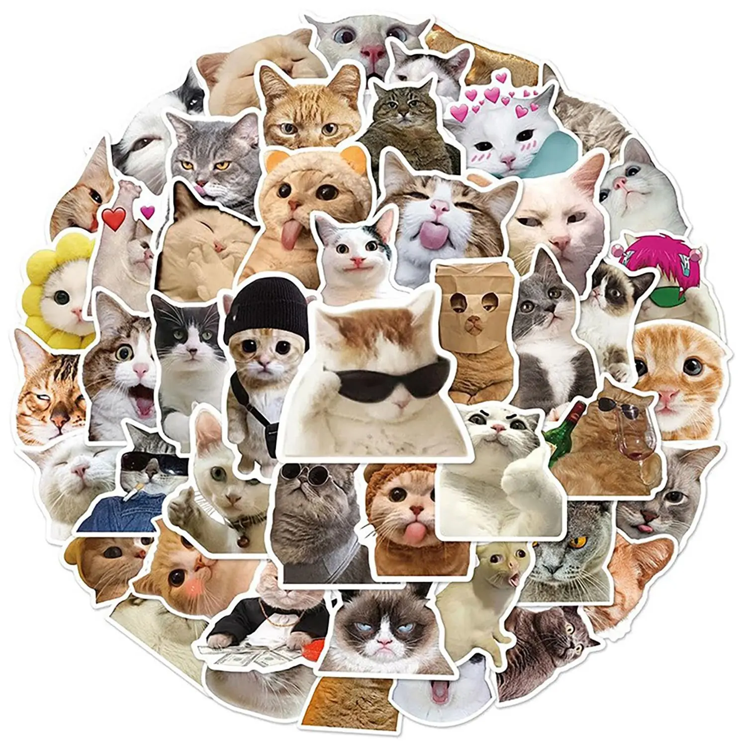 100-Pack of Funny Cat Stickers: Cat Meme Stickers, Perfect for Decorating Notebooks, Personalizing Water Bottles, Suitcases, and Bullet Journals