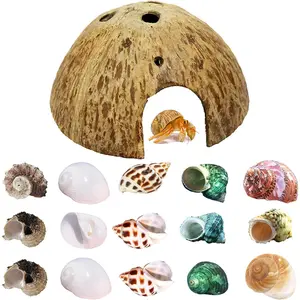 Hermit Crab Shell Growth Seashells 15 PCS (7 Types) Natural Coconut Shells Hut for Fish Tank Decor Hide Reptile Hideouts