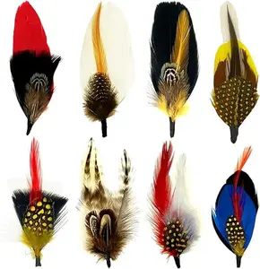 Hat Feathers, Assorted Natural Feathers Colorful Real Feathers Packs Accessories for Fedora Scott Borges Trilby Hats