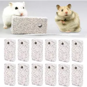 20 Pieces Hamster Lava Blocks, Lava Bites Chew Toys, Mineral Calcium Stone Teeth Grinding Toys for Small Animal Rabbits Guinea Pig Rats Bunny Hamsters Chinchilla - Home Improvement.