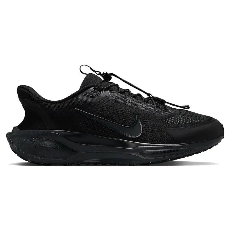 Nike Air Zoom Pegasus 41 EasyOn Black Anthracite (men) by StockX
