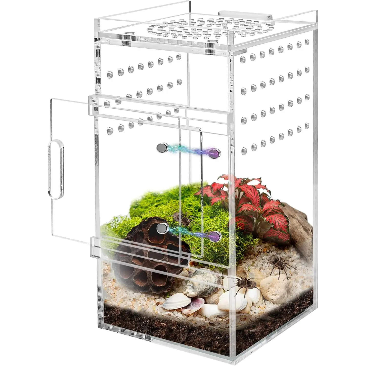 Spider Enclosure Tarantula Enclosure, Full Transparency Spider Enclosure Spider Terrarium Jumping Spider Habitat, Insect Terrarium Bug Enclosure, Arboreal Tarantula Enclosure