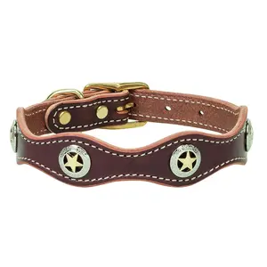 Weaver Leather Lone Star Legend Sunset Dog Collar - English Bridle Leather, Texas Star Conchos & Solid Brass Hardware 5/8 x 11-inch