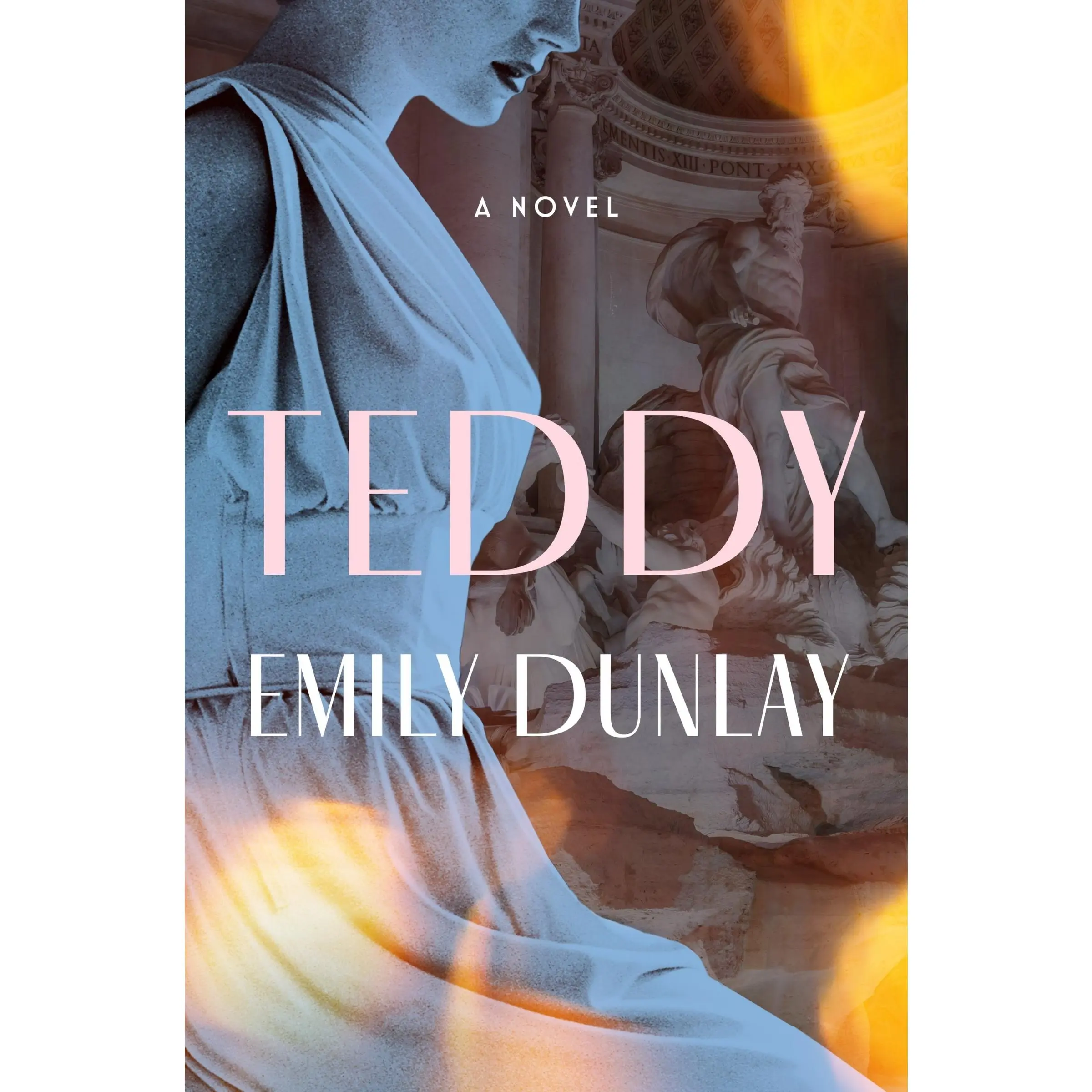 Teddy: A Novel by Emily Dunlay [Hardback Book]